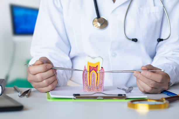 Best Emergency Dental Care for Broken or Chipped Teeth in Aristocrat Ranchettes, CO